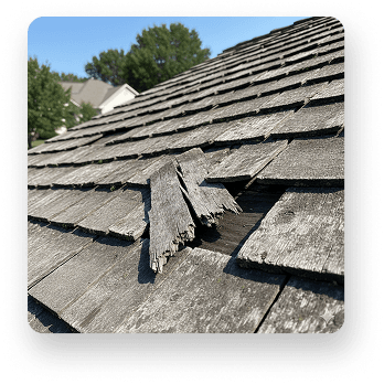 Broken Shake Shingle